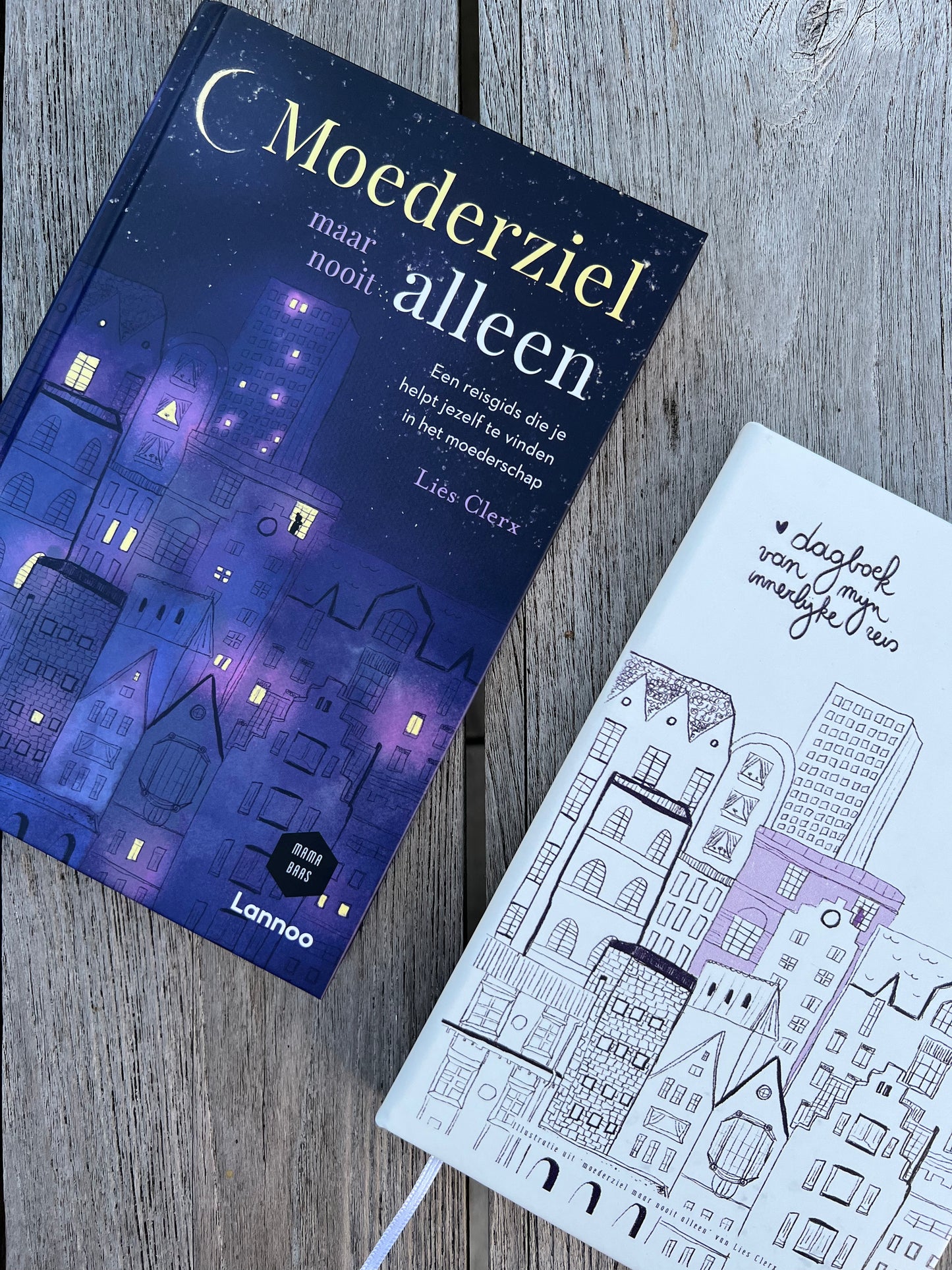 Journal met lijntjes